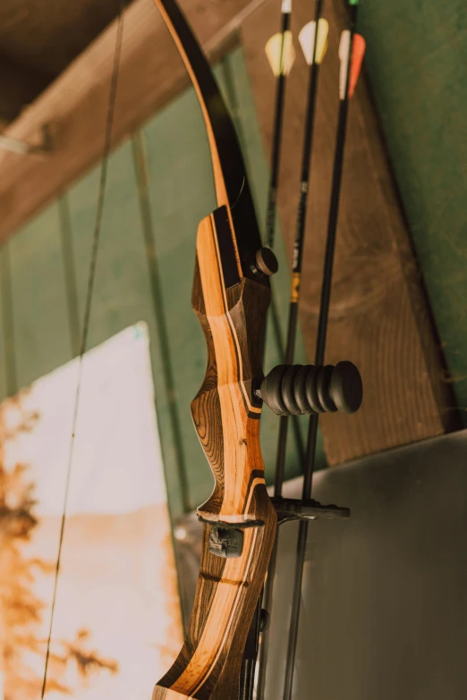 a bow and arrow hanging on a wall, a picture, pexels contest winner, bolt action rifle, at golden hour, professional woodcarving, tournament
