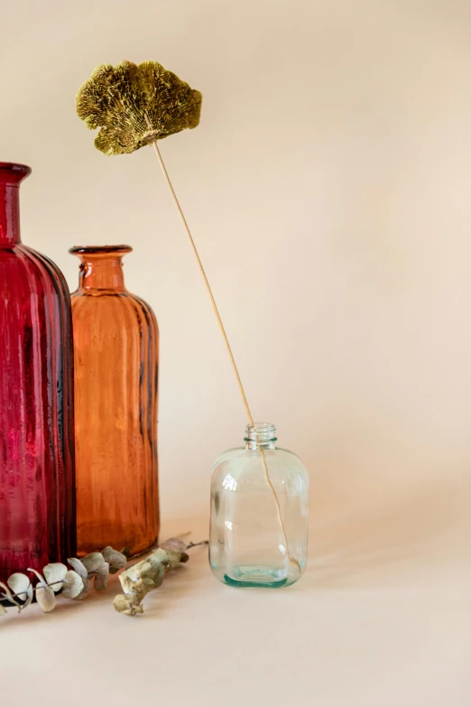 a group of vases sitting next to each other on a table, plume made of seaweed, whiskey bottle, maroon, medium close up