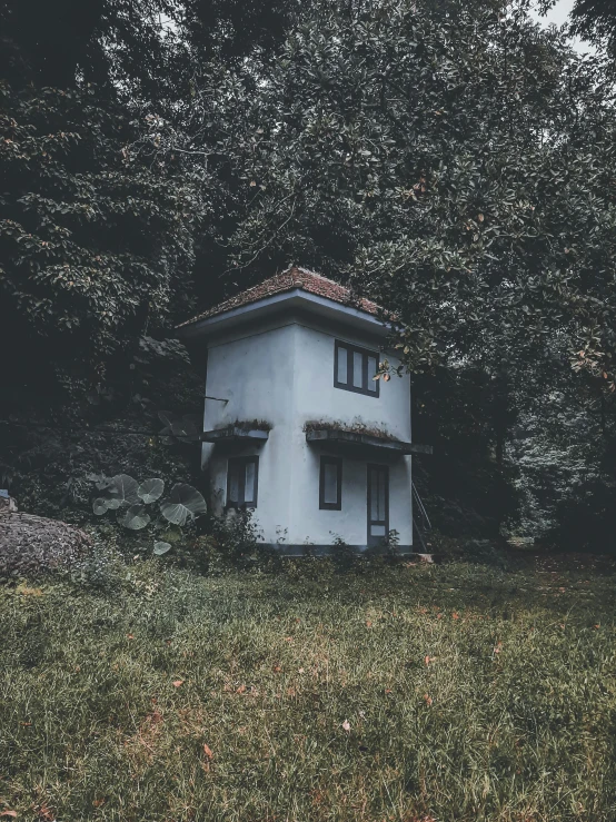 a white house sitting on top of a lush green field, a polaroid photo, inspired by Elsa Bleda, unsplash contest winner, in a spooky forest, elves house, high quality photo, built on a small