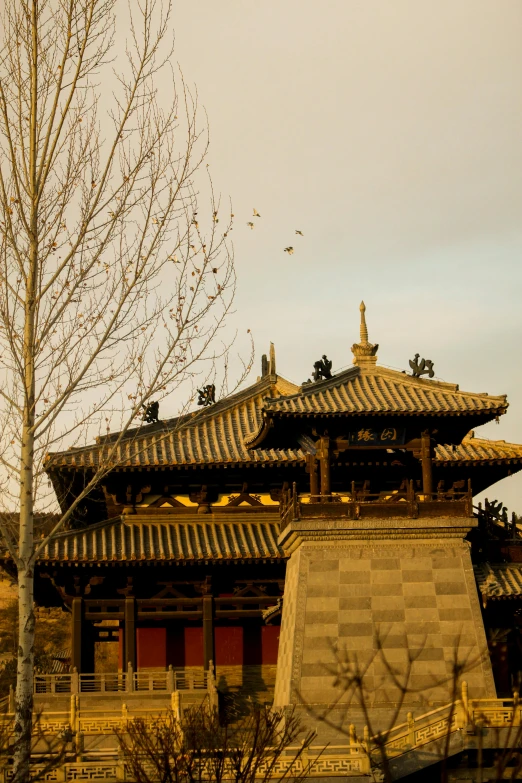 a tree with no leaves in front of a building, a picture, inspired by Yang Buzhi, baroque, peaked wooden roofs, golden hour in beijing, tall stone spires, medium shot taken from behind