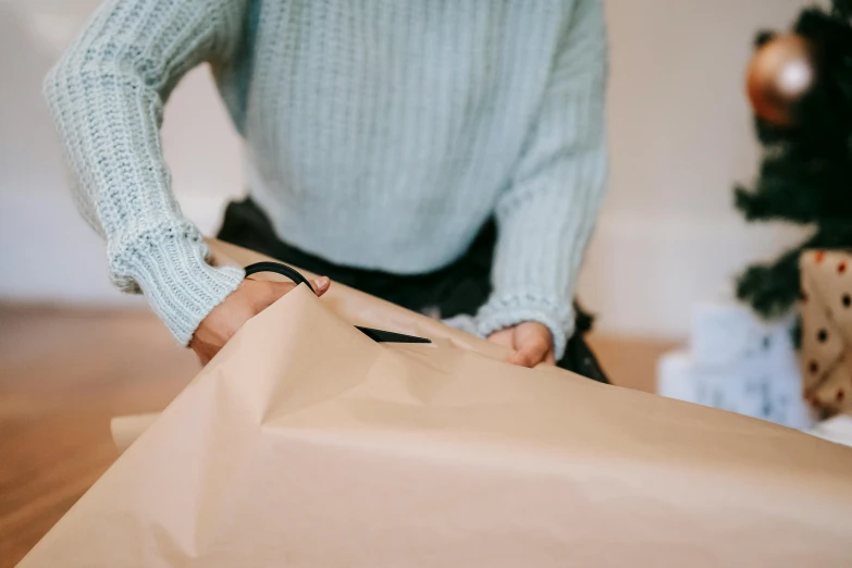 a woman opening a brown paper bag in front of a christmas tree, pexels contest winner, visual art, background image, soft vinyl, large cape, at home