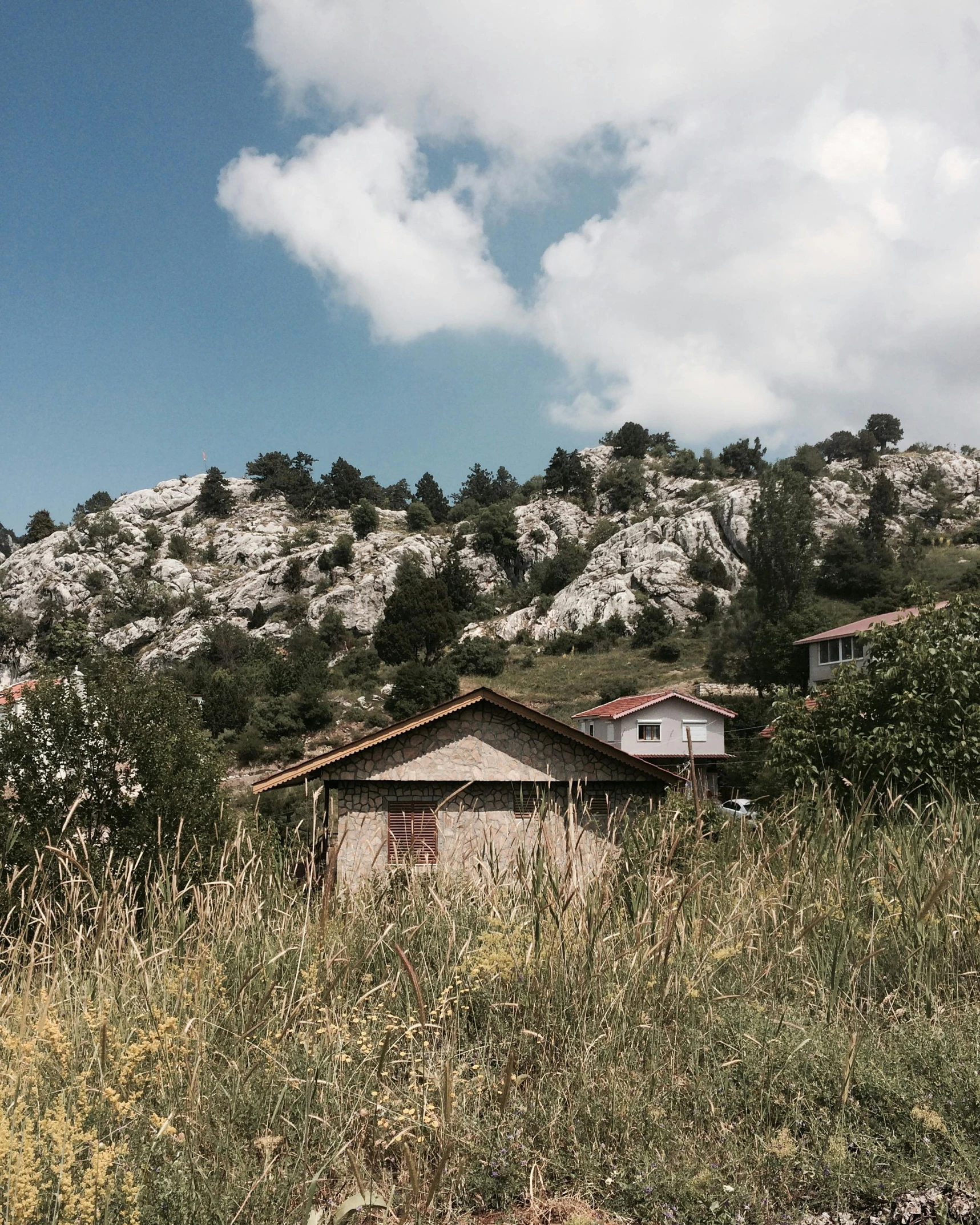 a red fire hydrant sitting on top of a lush green hillside, by Emma Andijewska, les nabis, makeshift houses, limestone, photo of džesika devic, distant mountain range