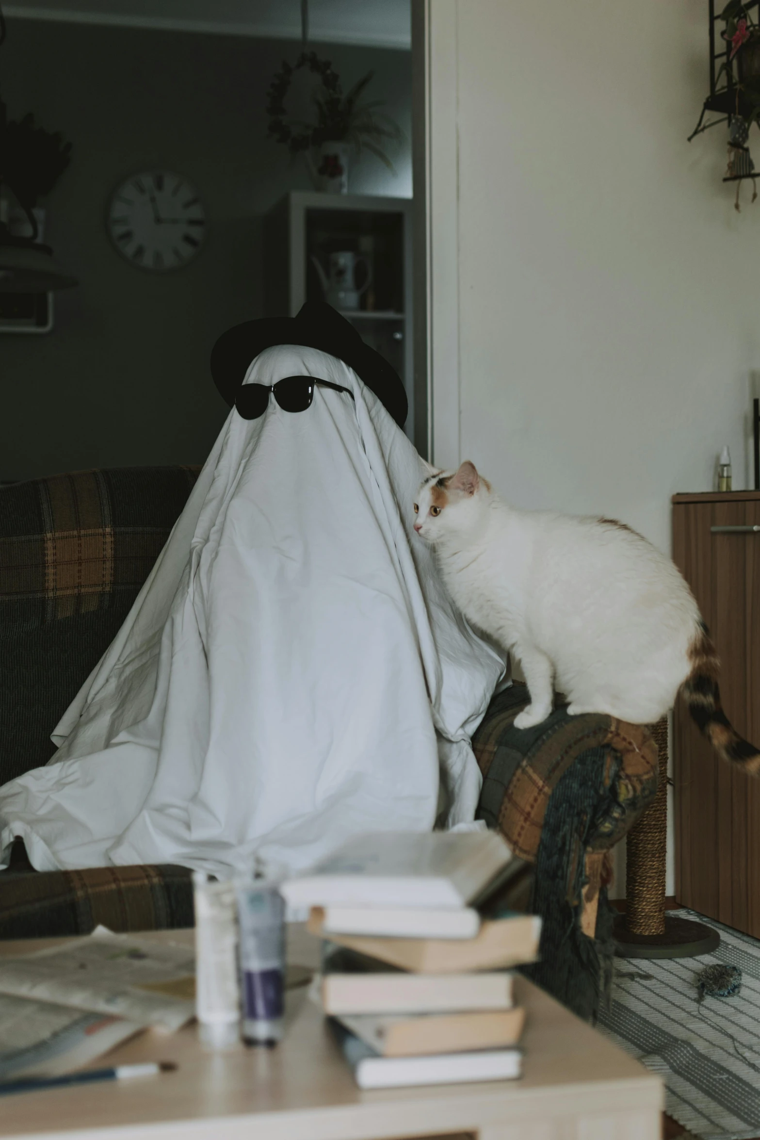 a white cat sitting on top of a couch in a living room, ghost mask, fat cat on desk, white cape, high-quality photo