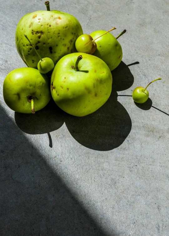 a pile of green apples sitting on top of a cement floor, a still life, inspired by Grillo Demo, unsplash, drop shadows, background image, group of seven, “berries