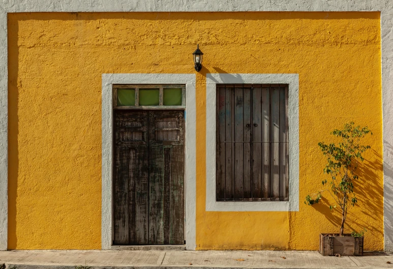 a yellow building with a potted plant in front of it, pexels contest winner, hyperrealism, mexican standoff, 3 doors, village house, 1 8 3 4