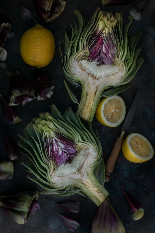 artichokes and lemons on a table, by Arie Smit, unsplash contest winner, full protrait, dark backround, underside, knolling