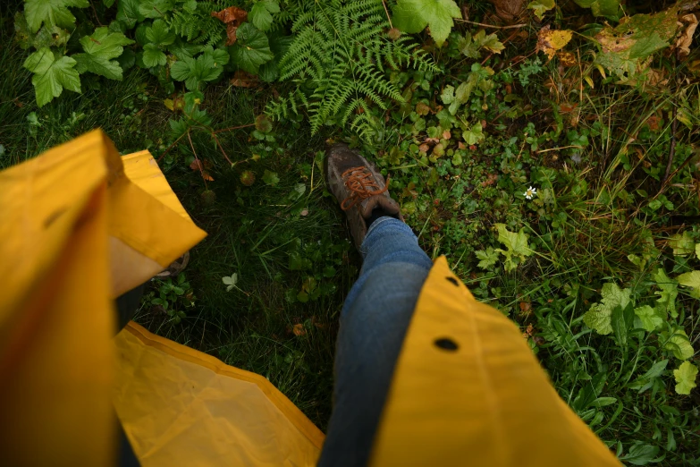 a person standing on top of a lush green field, yellow and charcoal leather, lying on the woods path, in the rain, viewed from the ground