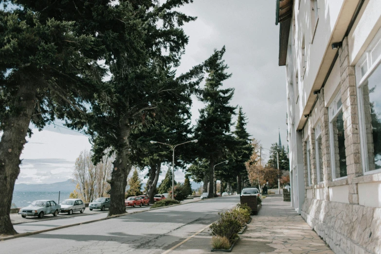 a red fire hydrant sitting on the side of a road, trending on unsplash, quito school, massive trees with warm windows, ground level view of soviet town, grey, patagonian