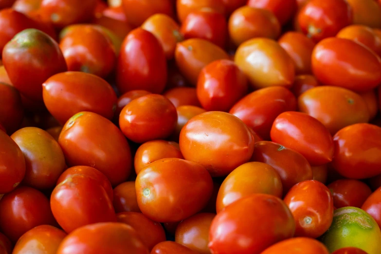 a pile of tomatoes sitting on top of each other, profile image, fan favorite, smooth oval head, medium angle