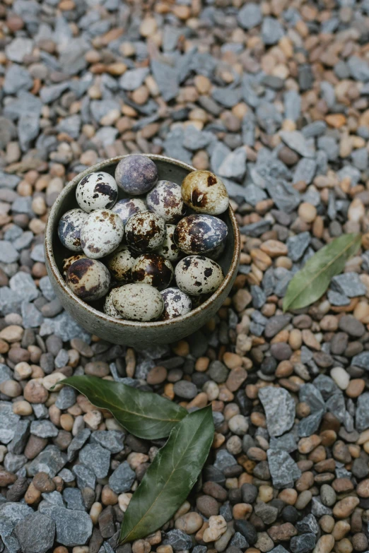 a bowl filled with eggs sitting on top of a pile of rocks, unsplash, renaissance, birds, cannonballs, glazed ceramic, herbs