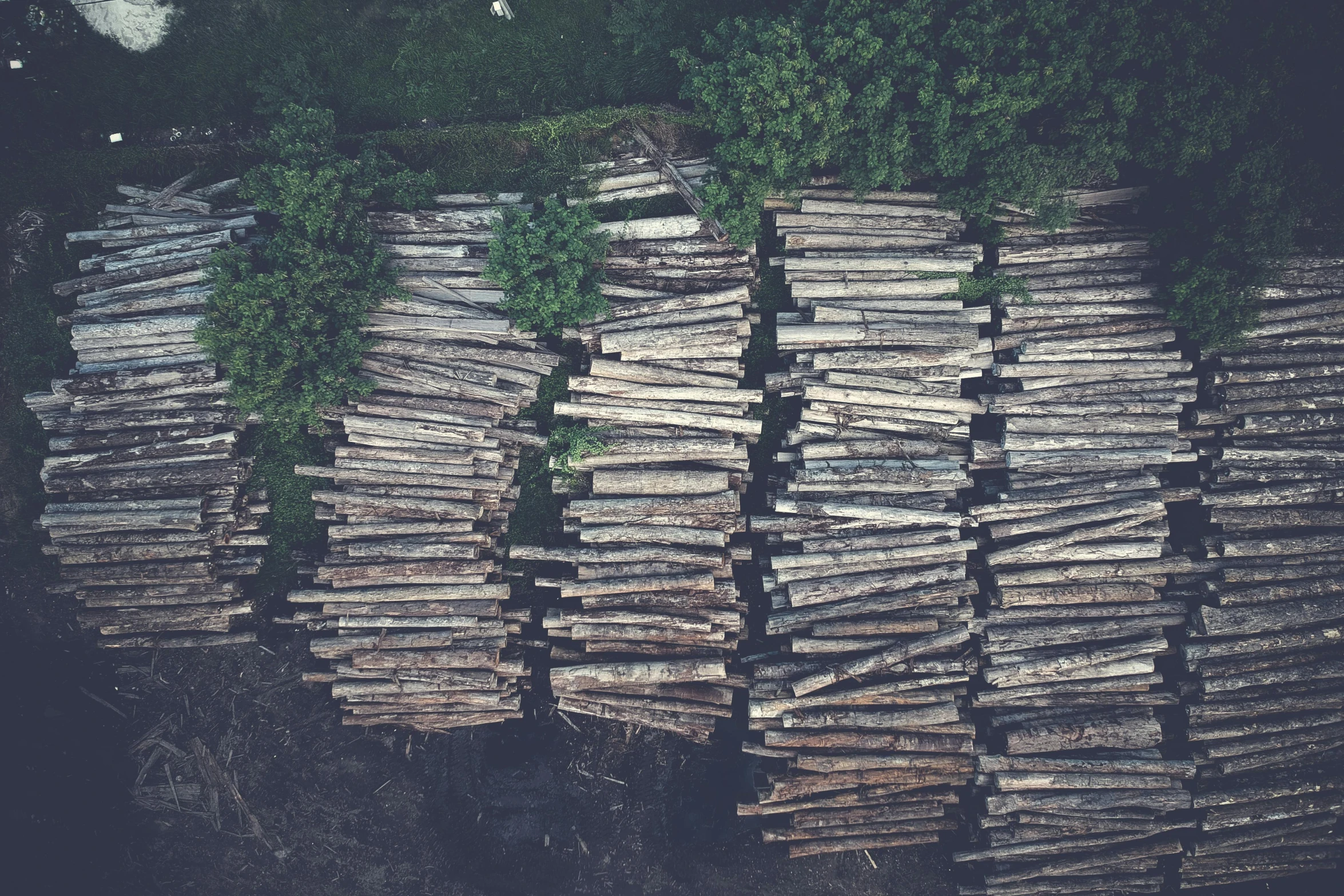 a bunch of logs stacked on top of each other, an album cover, inspired by Elsa Bleda, unsplash, land art, aerial shot, longbows, grey, sustainability