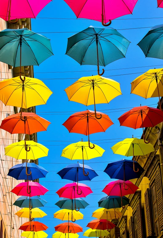a street filled with lots of colorful umbrellas, an album cover, by Julia Pishtar, unsplash contest winner, renaissance, bright sunny day, square, anna nikonova, solid colors