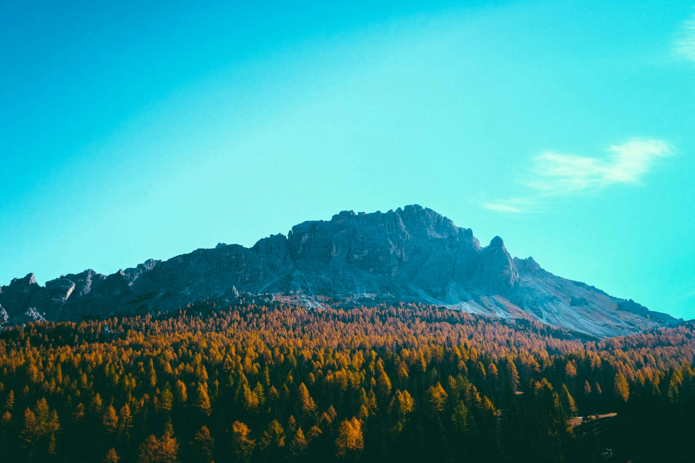 a mountain with trees in the foreground and a blue sky in the background, unsplash contest winner, minimalism, brown and cyan color scheme, multiple stories, italy, bright nordic forest