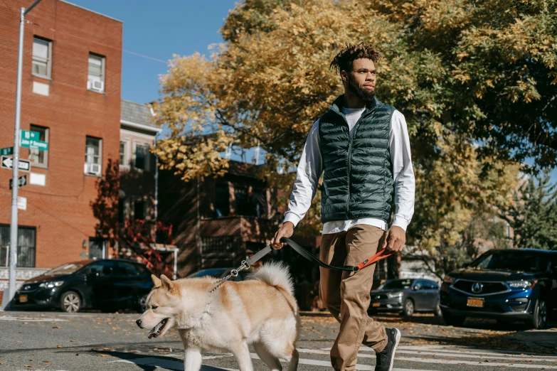 a man walking a dog across a street, pexels, renaissance, model is wearing techtical vest, teddy fresh, fall season, thumbnail