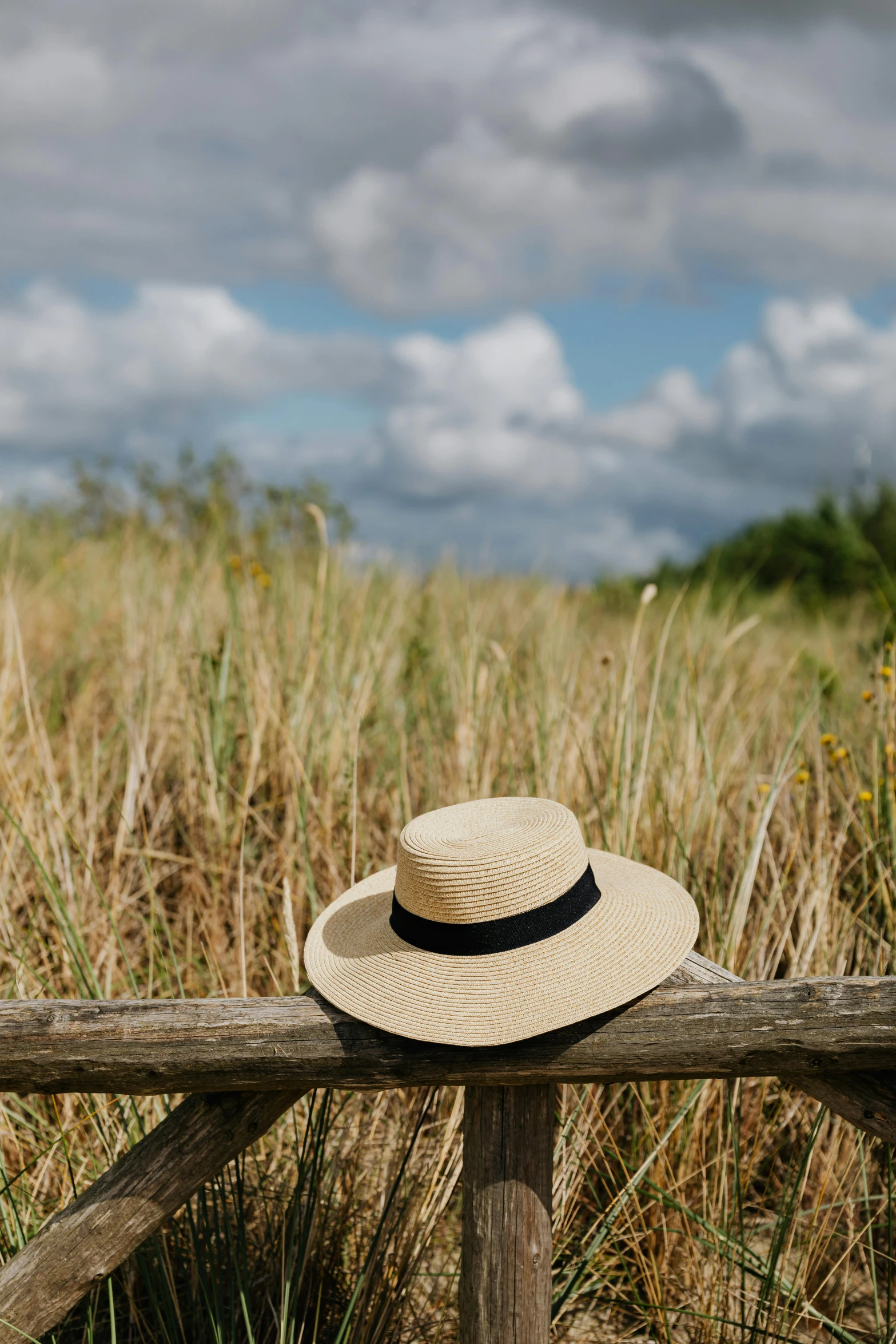 a hat sitting on top of a wooden fence, a picture, unsplash, lush surroundings, with straw hat, skies behind, coastal