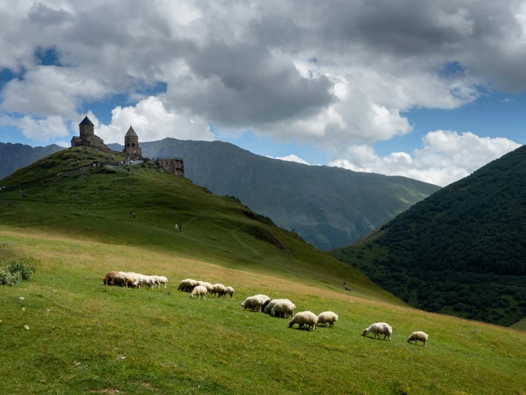 a herd of sheep grazing on a lush green hillside, by Muggur, pexels contest winner, romanesque, alpine architecture, ayanamikodon and irakli nadar, gray, caucasian