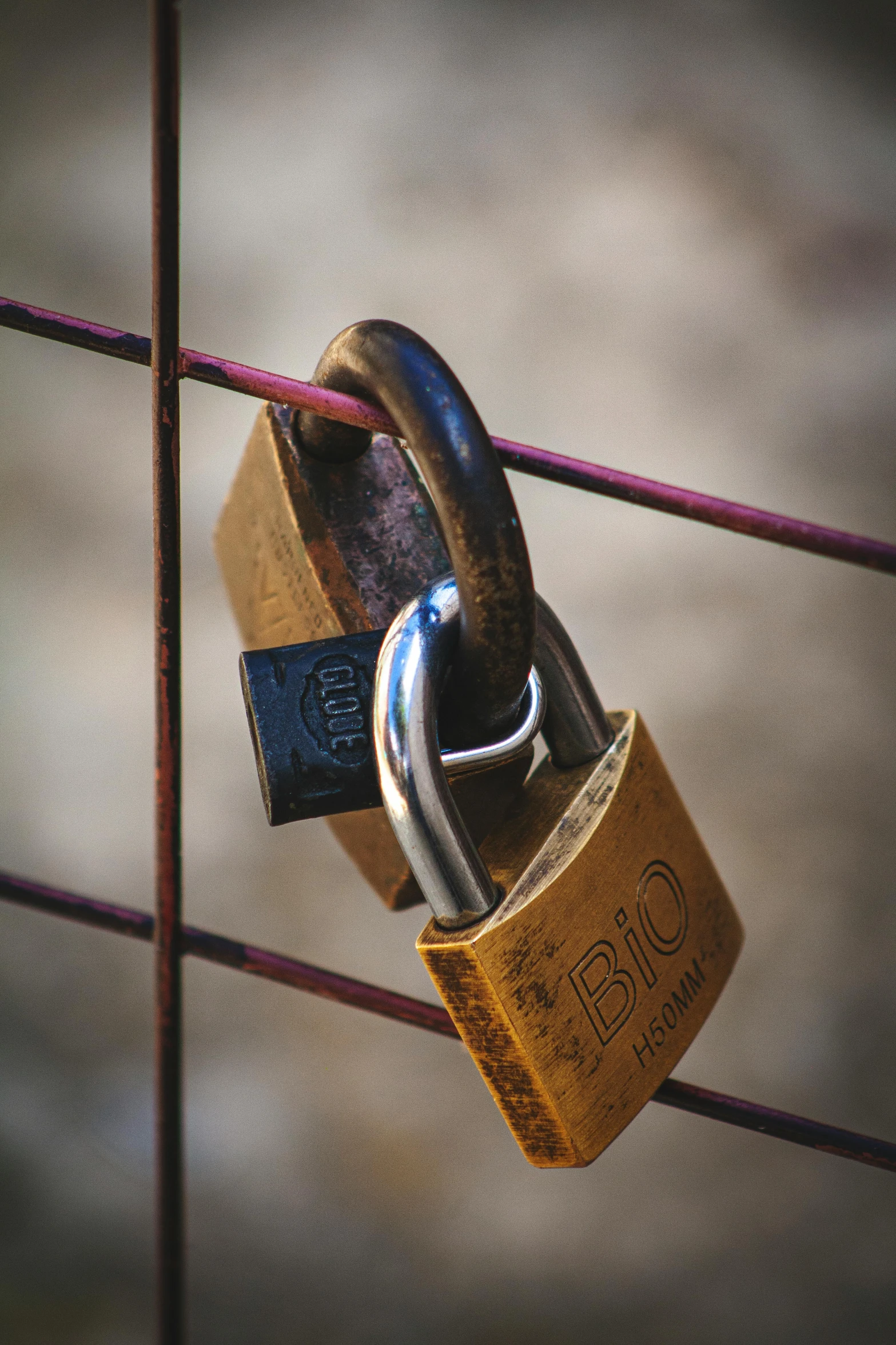 a close up of a padlock on a fence, holding each other, colour photograph, ((rust)), crypto