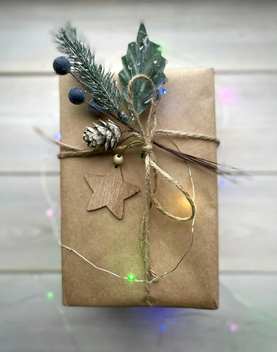 a christmas present wrapped in brown paper and tied with twine, by Eden Box, instagram, rgb led lights, oak, starlit, back facing