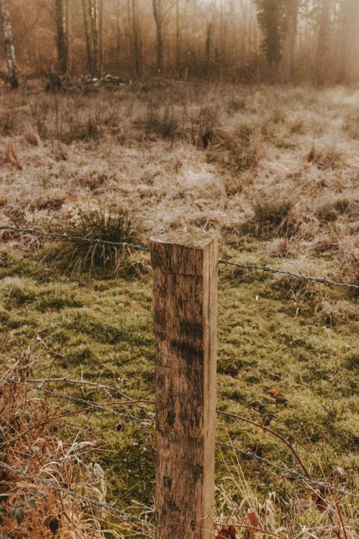 a fire hydrant sitting in the middle of a field, by Jessie Algie, unsplash, land art, rough wooden fence, single long stick, warm light, moorland