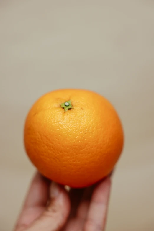 a person holding an orange in their hand, by Nathalie Rattner, reddit, view from bottom to top, small nose, hyperdetailed!, tall