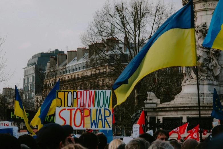 a crowd of people holding flags and signs, a photo, by Matija Jama, pexels, socialist realism, war in ukraine, on a yellow canva, photo of a beautiful, contain