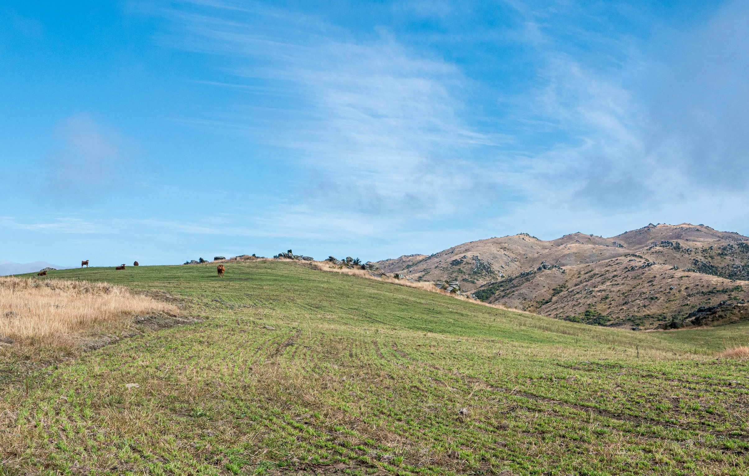 a red fire hydrant sitting on top of a lush green hillside, by William Berra, unsplash, land art, panorama distant view, hollister ranch, brown stubble, new zeeland