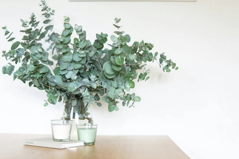 a vase filled with green plants sitting on top of a wooden table, trending on unsplash, minimalism, silver，ivory, eucalyptus trees, bright castleton green, soft colours scheme