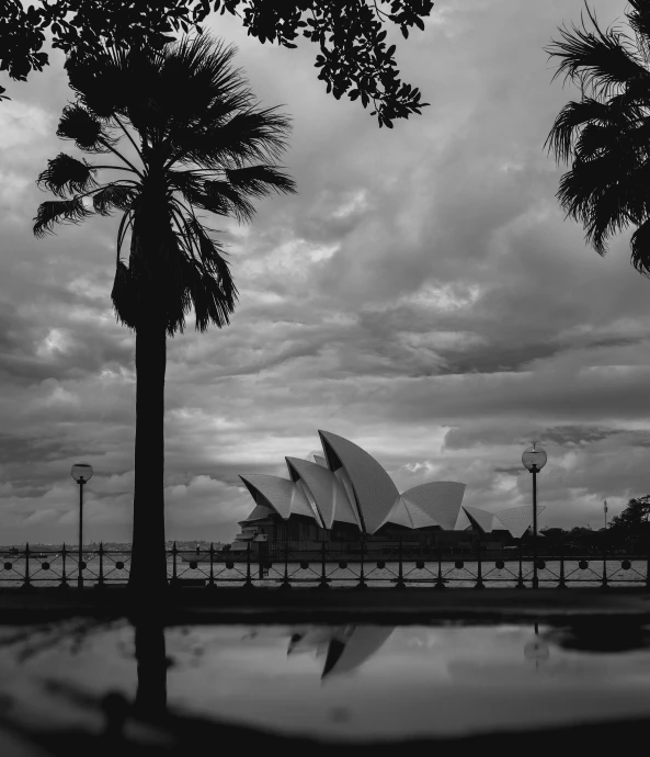 a black and white photo of the sydney opera, unsplash contest winner, australian tonalism, with palm trees in the back, magical stormy reflections, 4x5 styled street photography, ( ( photograph ) )