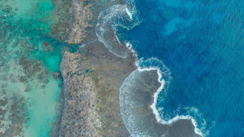 a large body of water next to a sandy shore, by Peter Churcher, pexels, coral sea bottom, satellite imagery, marsden, eagle coral