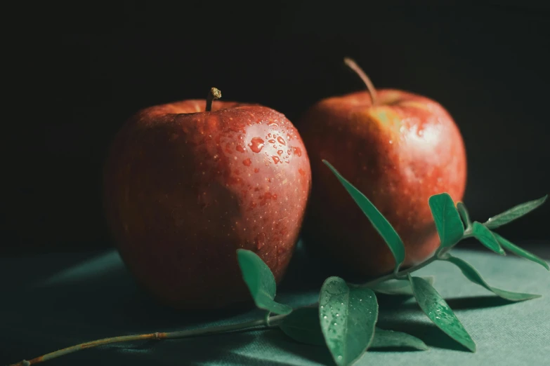 two apples sitting next to each other on a table, trending on pexels, background image, thumbnail, botanicals, profile pic