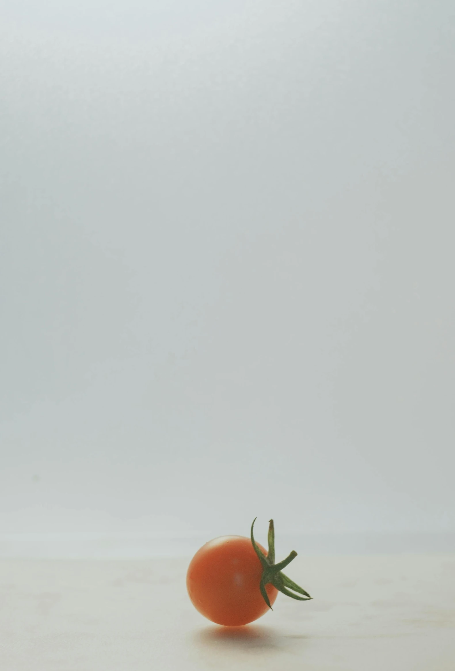 a single tomato sitting on top of a table, by Nathalie Rattner, postminimalism, under a gray foggy sky, orange plants, made of food, white backround