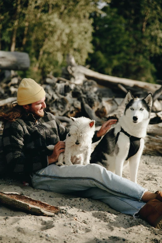 a woman sitting on a beach with two dogs, husky, piled around, a cozy, visual static