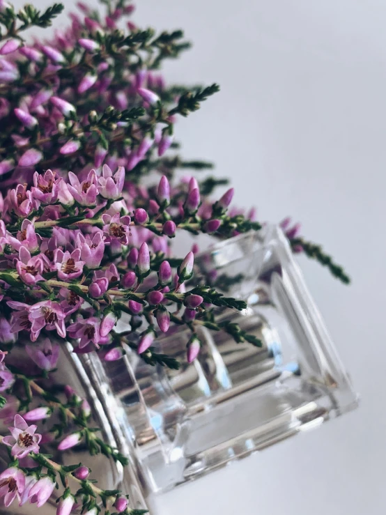 a vase filled with purple flowers on top of a table, perfume bottle, background image, instagram picture, made of crystal