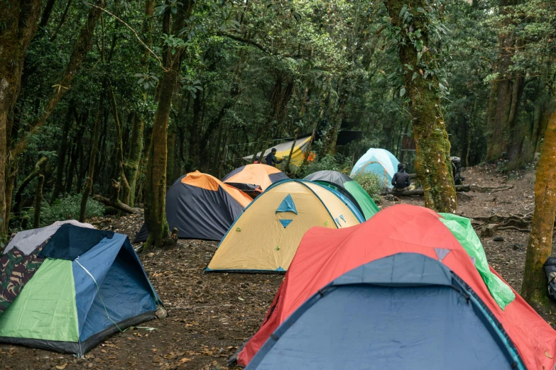 a group of tents set up in the woods, hurufiyya, cloud forest, tawa trees, grey, flat