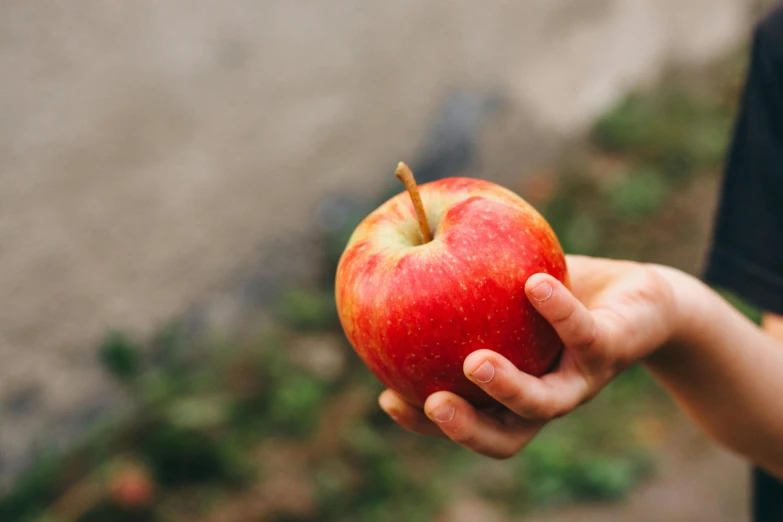 a person holding an apple in their hand, pexels contest winner, ayne haag, exterior shot, local foods, 2 5 6 x 2 5 6 pixels