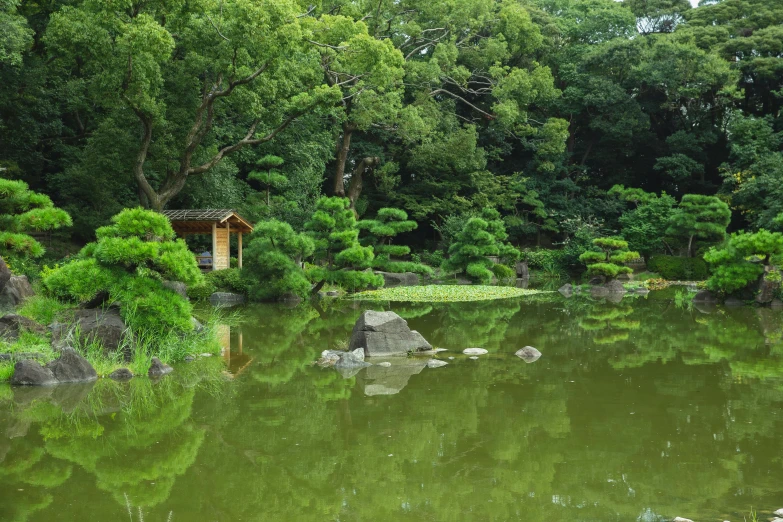 a body of water surrounded by trees and rocks, inspired by Sesshū Tōyō, pixabay, sōsaku hanga, in a verdant garden, sitting in tokyo, reflecting pool, muted green