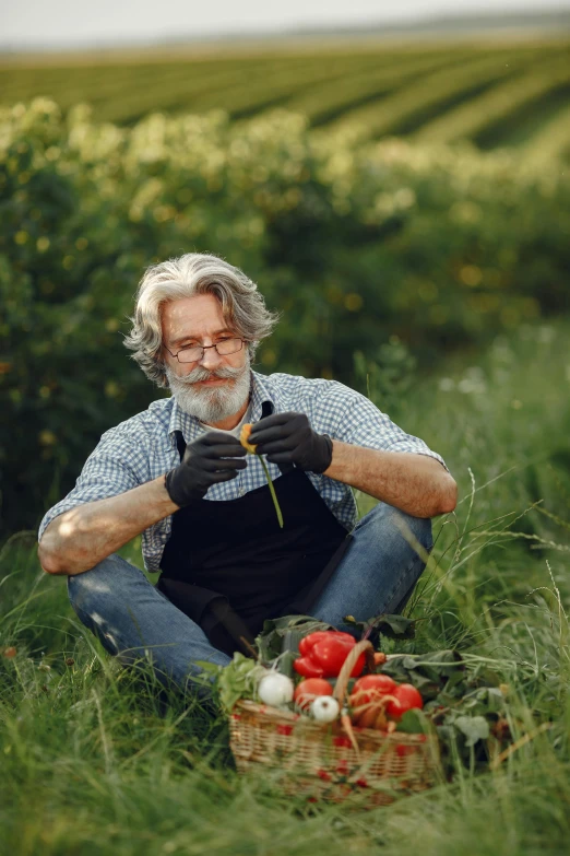 a man sitting in the grass with a basket of vegetables, gray hair and beard, wearing gloves, #trending, multiple stories