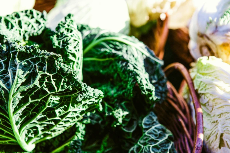 a basket filled with lots of different types of vegetables, unsplash, lush greens, close up of iwakura lain, sydney hanson, 🦩🪐🐞👩🏻🦳