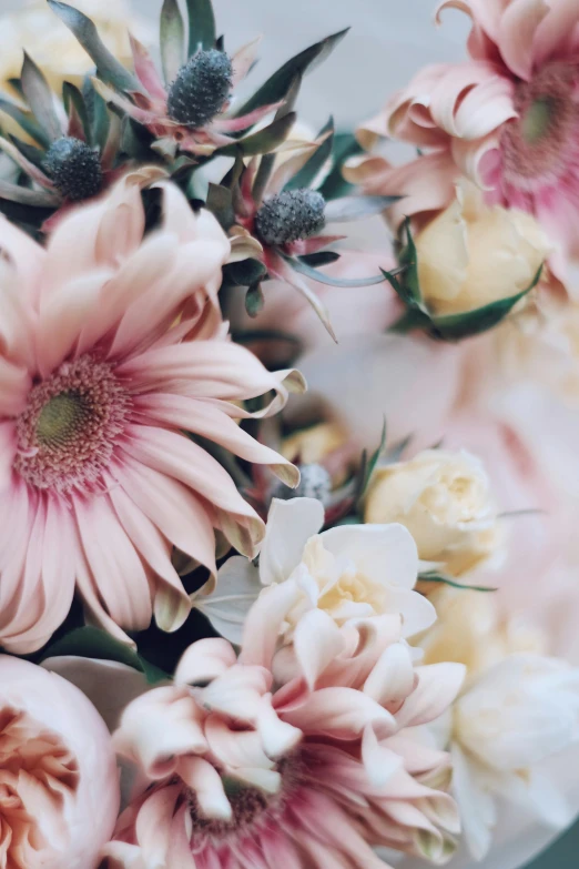 a vase filled with pink and white flowers, trending on unsplash, highly detailded', soft tones, zoomed in, chrysanthemum