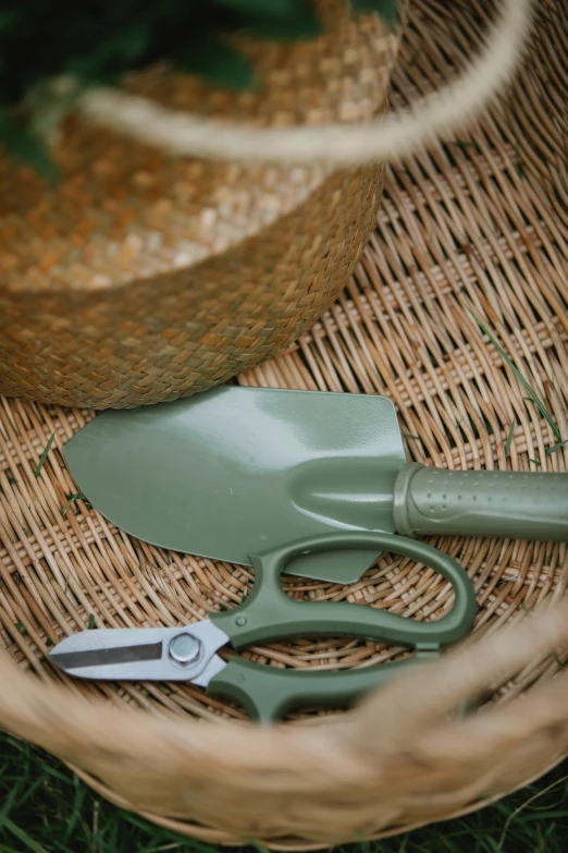 a pair of scissors sitting on top of a wicker basket, sage green, garden setting, medium details, zoomed in