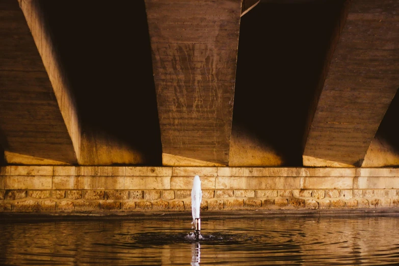 a fire hydrant in the middle of a body of water, an album cover, unsplash contest winner, minimalism, sitting under bridge, concert, dingy lighting, architecture photo