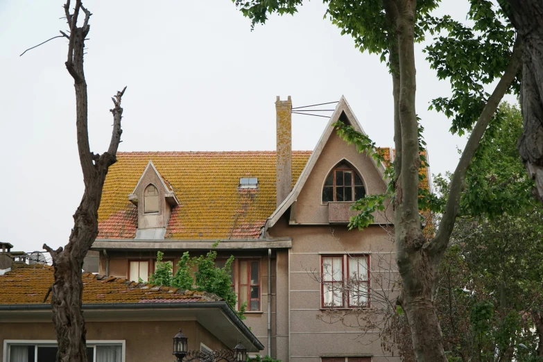 a red fire hydrant sitting in front of a house, inspired by Zhang Kechun, international gothic, orange roof, 2000s photo, over grown botanical garden, simple gable roofs