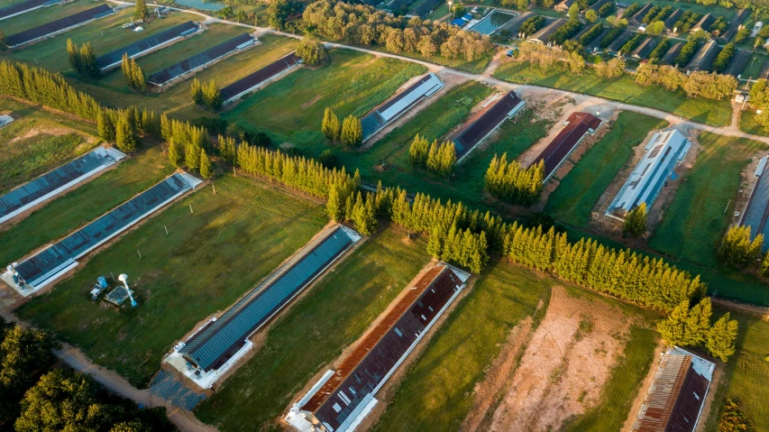 an aerial view of a farm with rows of water tanks, by Jan Tengnagel, unsplash contest winner, auschwitz camp, meats on the ground, 15081959 21121991 01012000 4k, thumbnail