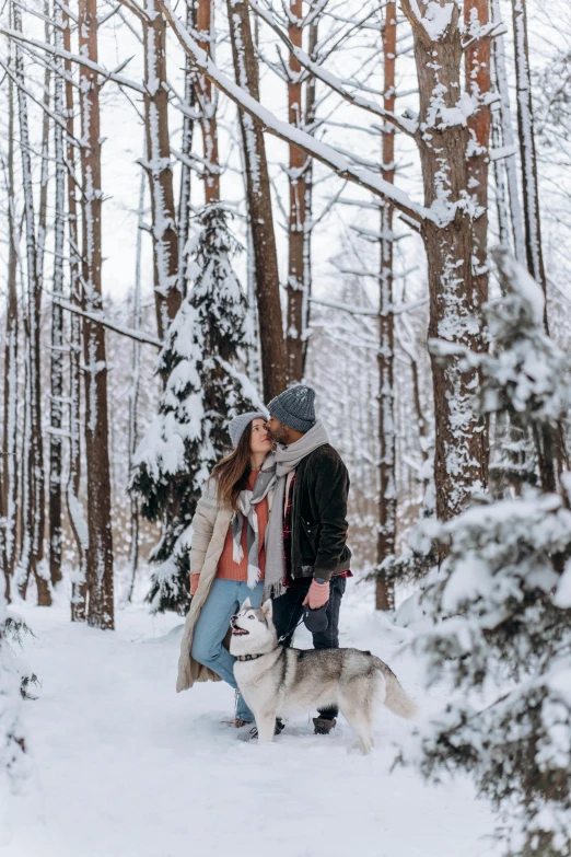 a man and a woman walking a dog in the snow, pexels contest winner, romanticism, sitting on a tree, kissing, michigan, profile image