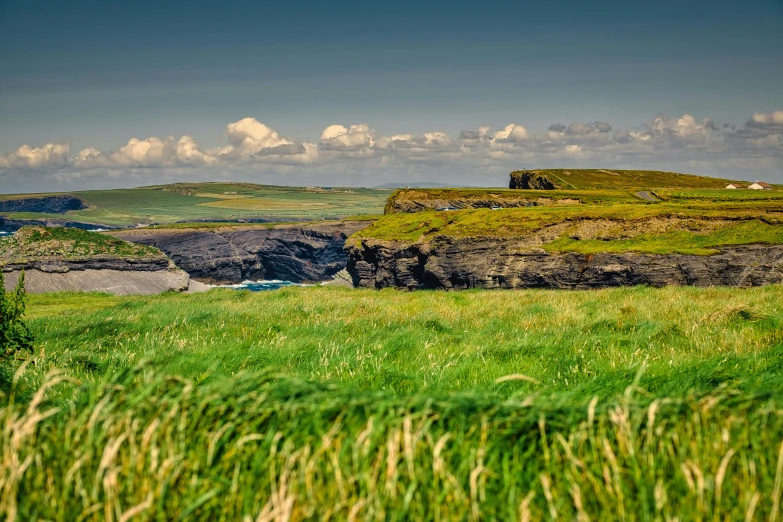 a couple of sheep standing on top of a lush green field, by Julian Allen, pexels contest winner, coastal cliffs, panoramic, print, mayo