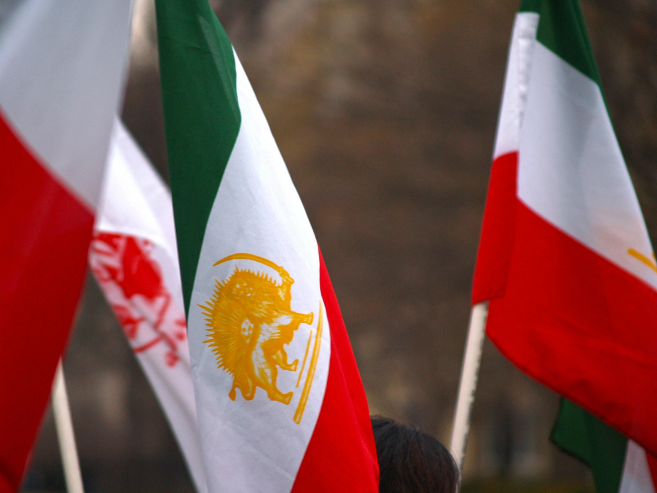 a group of flags that are flying in the air, a portrait, pexels, renaissance, iranian, anthropology photo”, lionardo davinchi, profile image