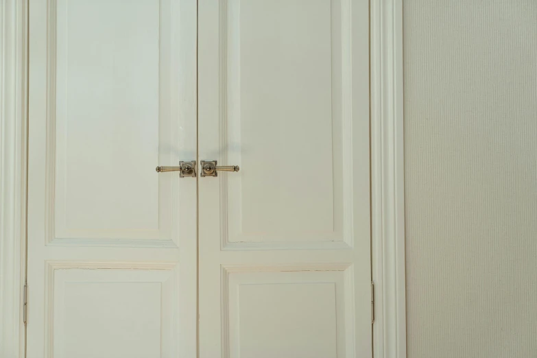 a cat sitting on the floor in front of a door, by Elsa Bleda, private press, two wooden wardrobes, silver，ivory, medium close - up, detail texture