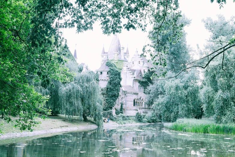 a castle sitting on top of a lush green hillside, inspired by Oleg Oprisco, unsplash, visual art, in a pond, gray, 90s photo