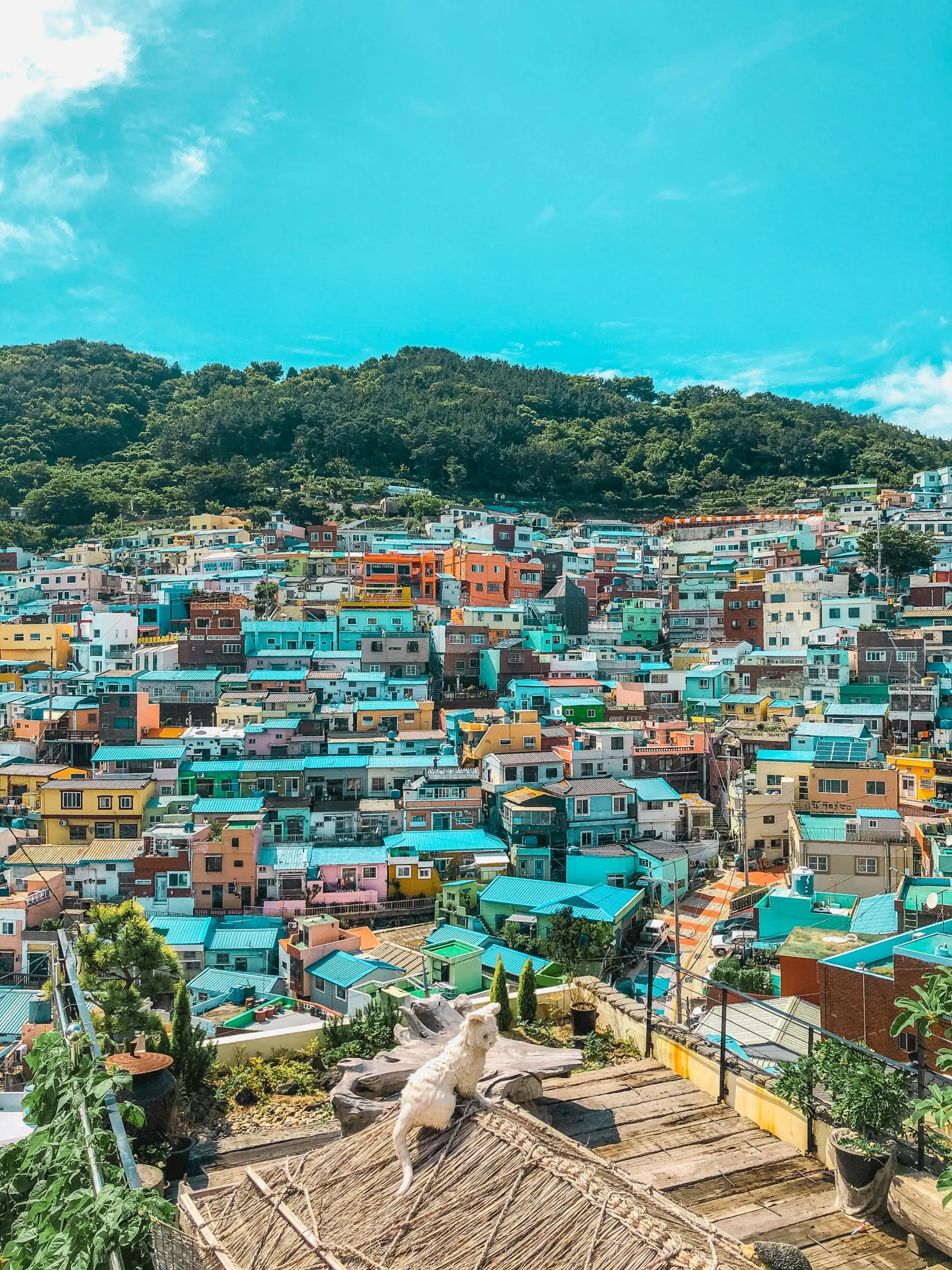 a bird sitting on the roof of a building, a colorized photo, by Jang Seung-eop, trending on unsplash, maximalism, city on a hillside, colorful mural on walls, nagasaki, coloured in teal and orange