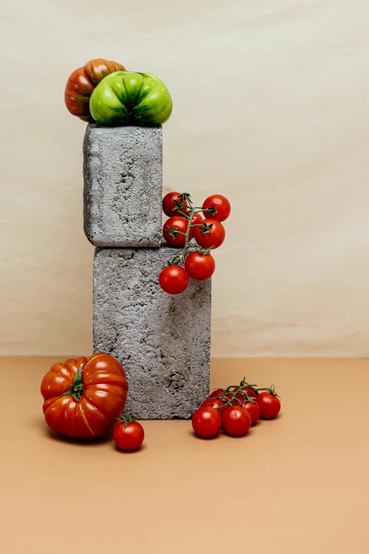 a bunch of tomatoes sitting on top of a cement block, an abstract sculpture, concrete art, snacks, ignant